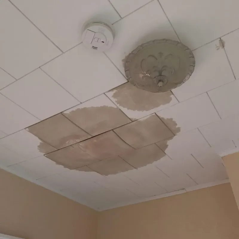 Ceiling Water Damage Repair in Schuyler, NE